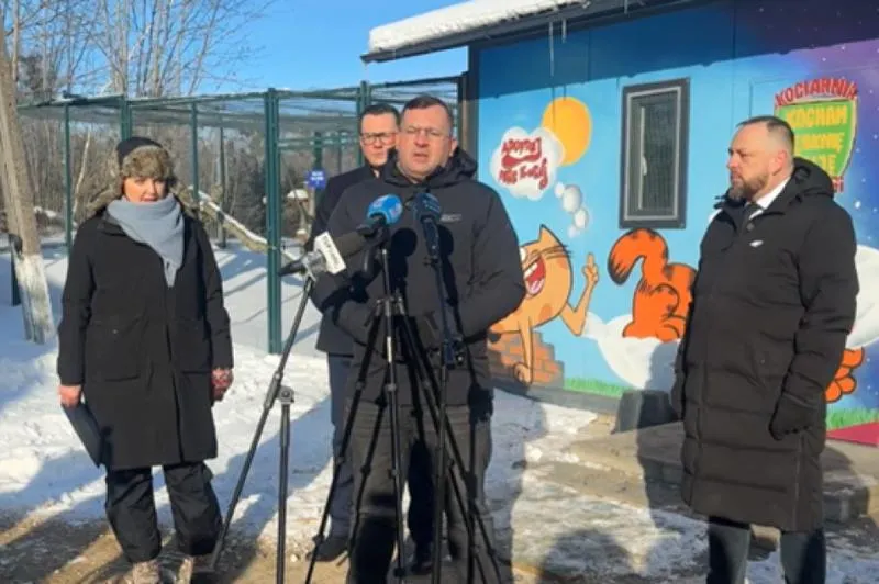 Promocja usług dla psów w social media