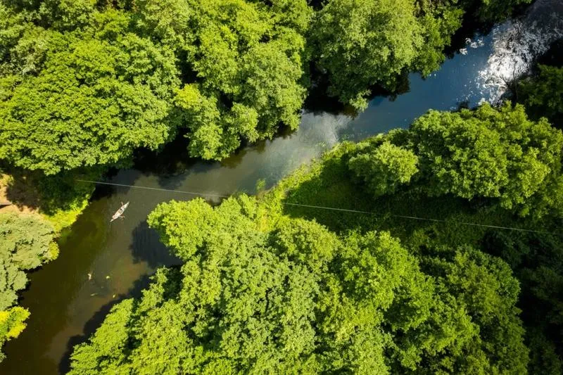 Spółki technologiczne