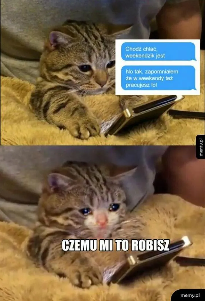 Zarabianie na hobby i umiejętnościach