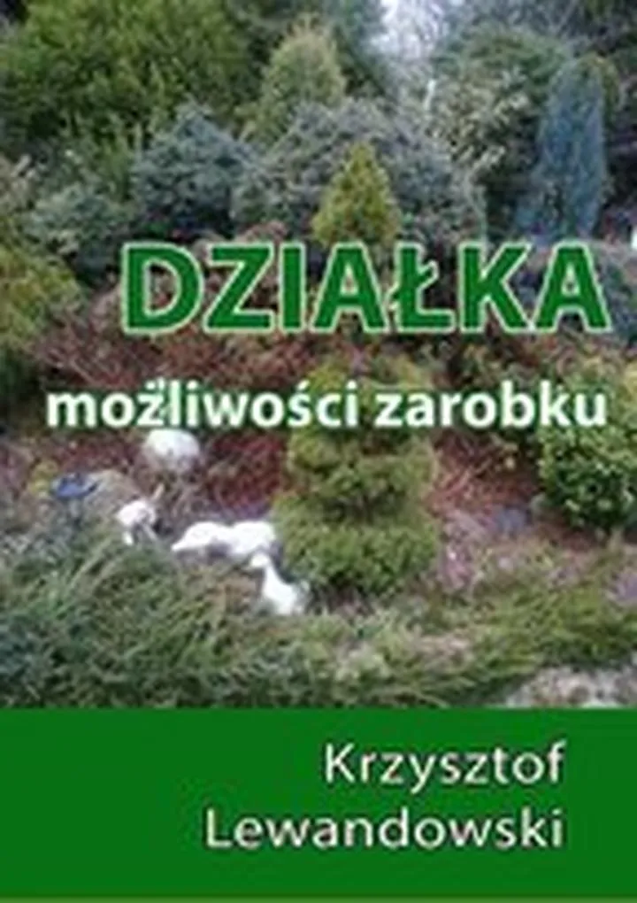 Zarabianie przez internet dla młodzieży