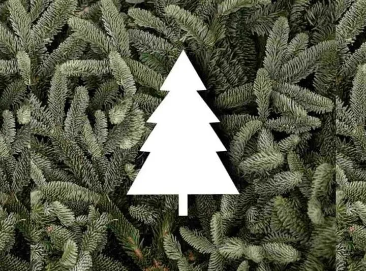 Zarobki ze sprzedaży choinek